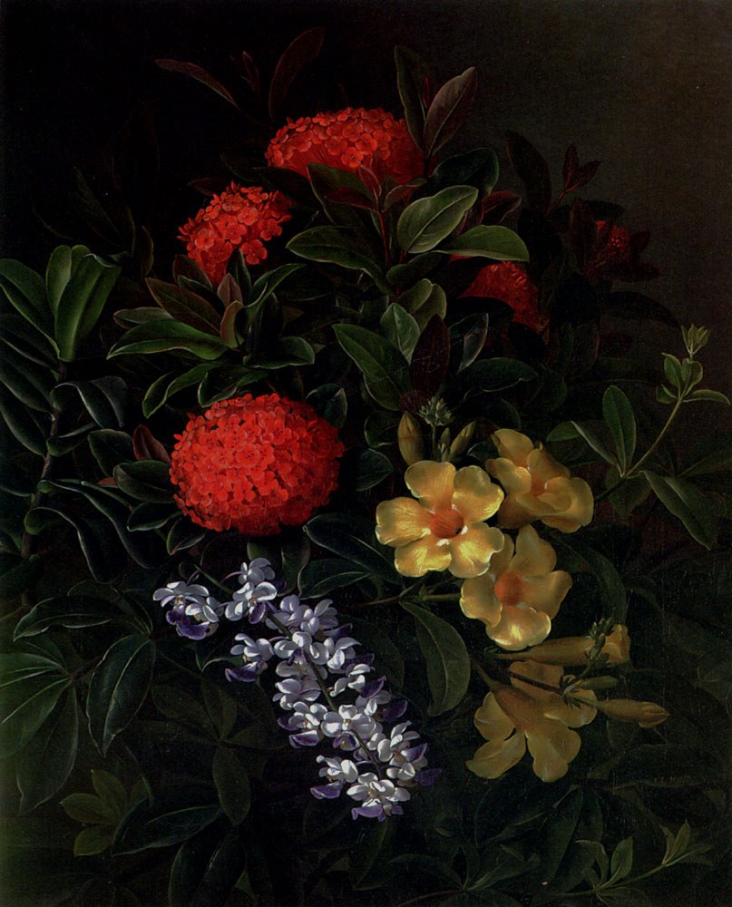 Allemanda Ixora And Orchids