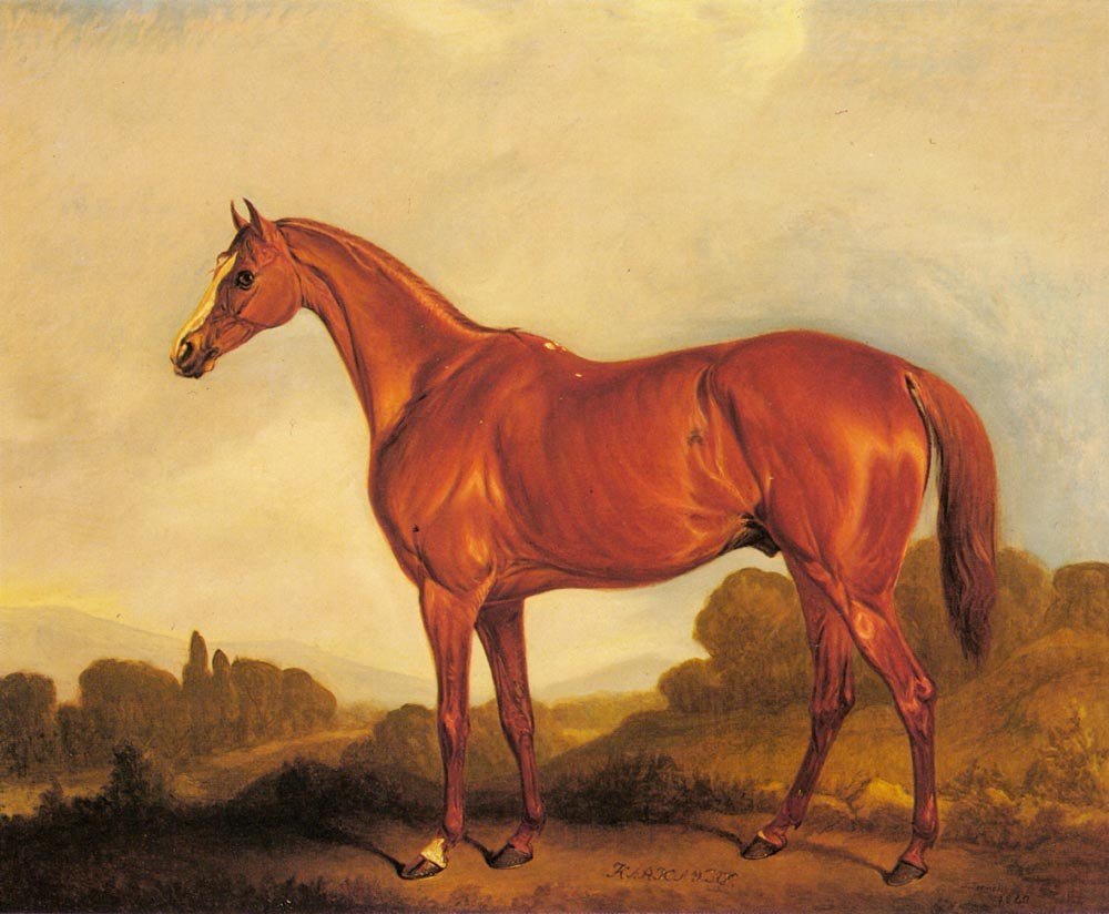 Ferneley John A Portrait Of The Racehorse Harkaway