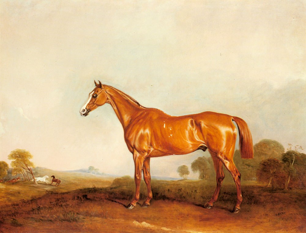 Ferneley Jr John A Golden Chestnut Hunter In A Landscape