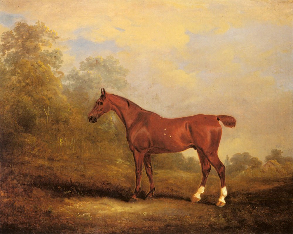 Ferneley Jr John Cecil