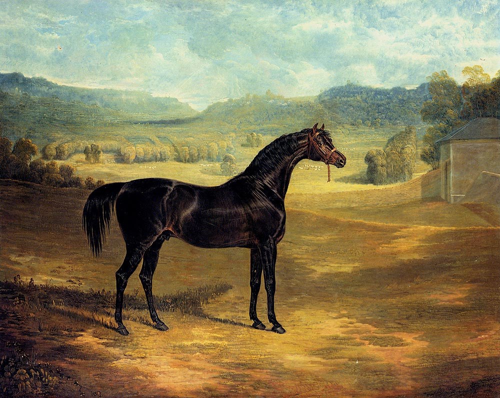 Herring Sr John Frederick The bay Stallion Jack Spigot