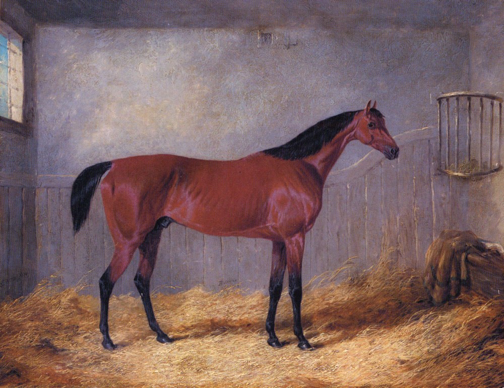 Herring Jnr John Frederick The Duke Of Graftons Bolivar In A Stable