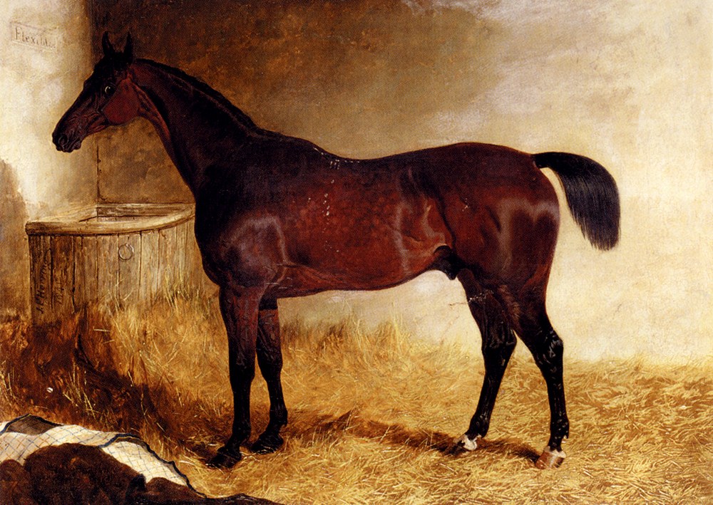 Herring John Frederick Flexible A Chestnut Racehorse In A Loose Box