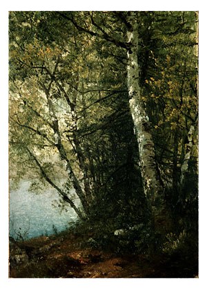 John F Study Of Beeches