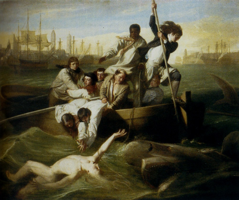 Brrok Watson And The Shark