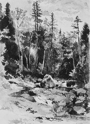 Peabody At The Glen New Hampshire