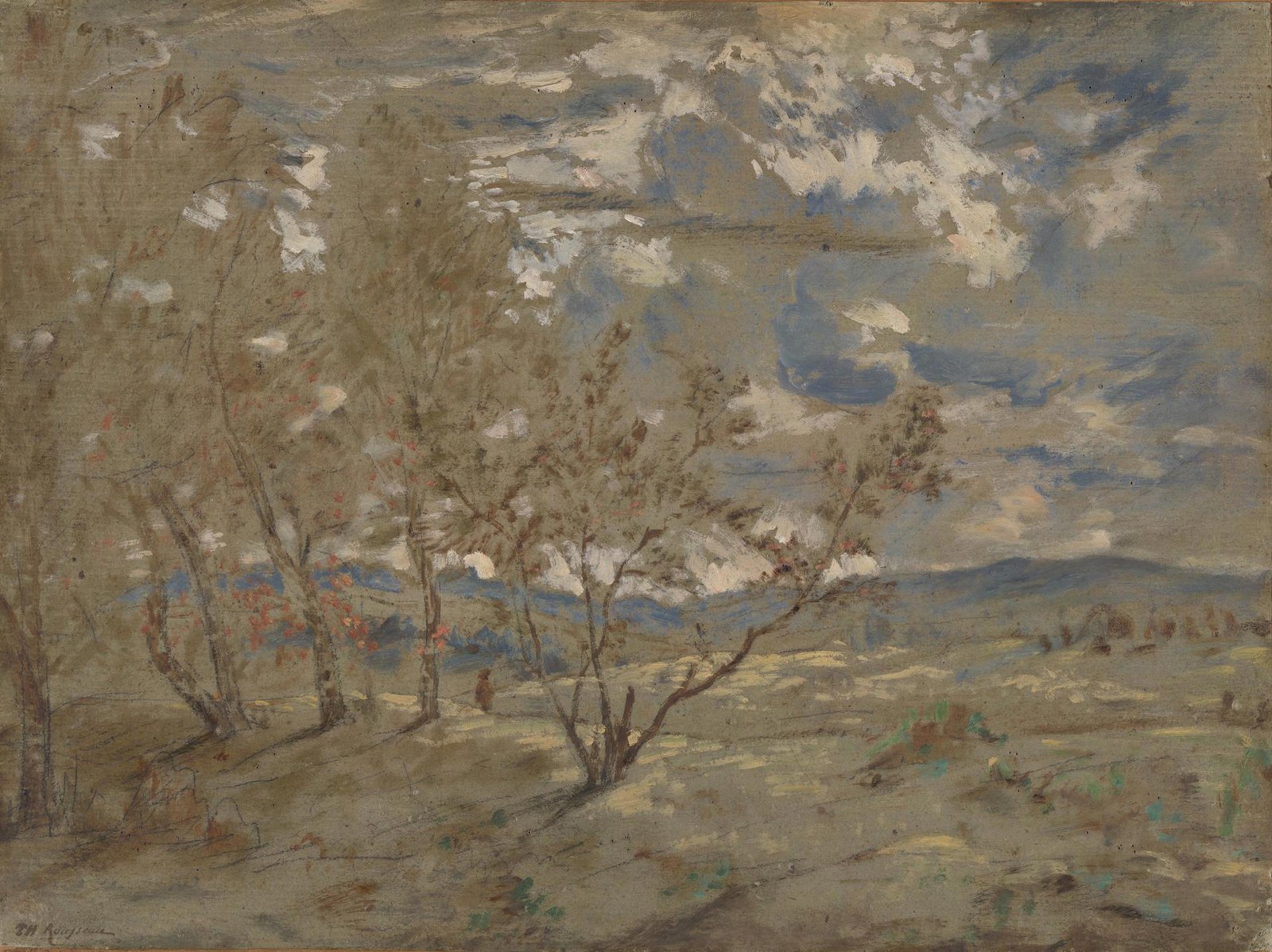 Landscape