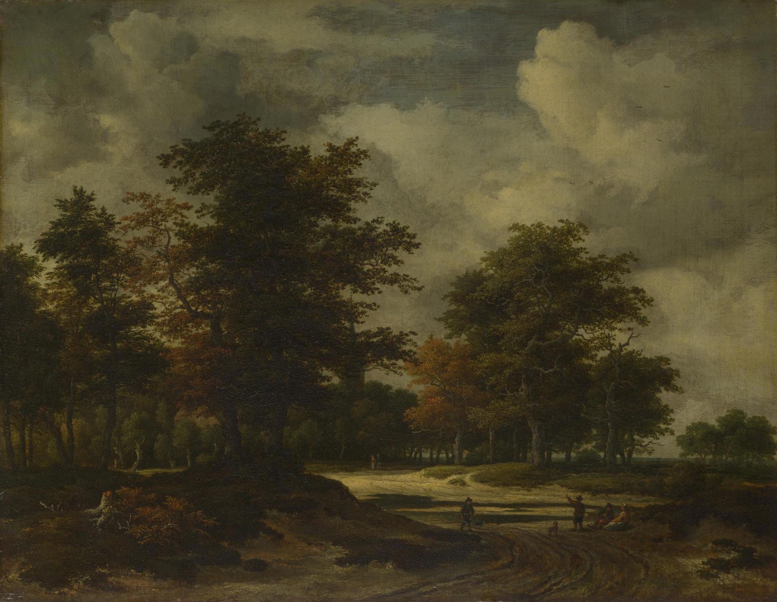 A Road leading into a Wood