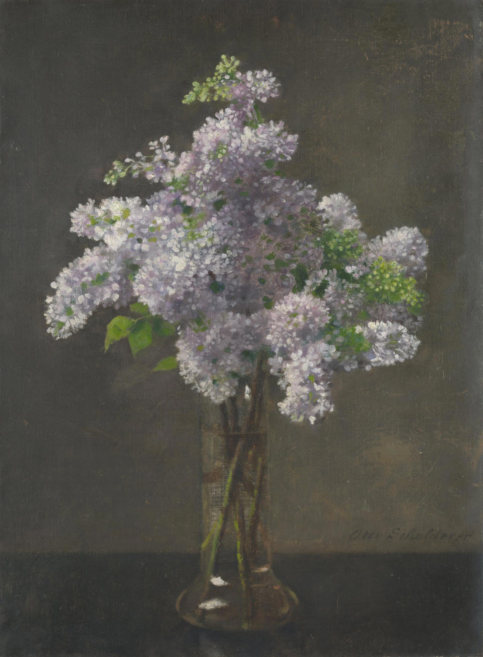 Lilac
