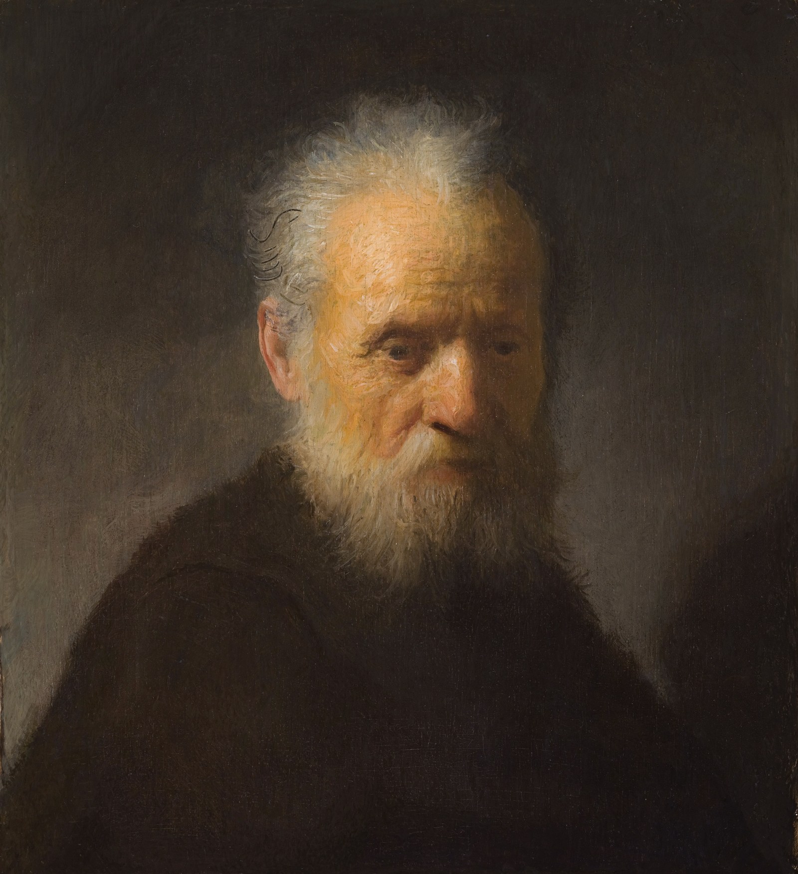 Bust of an Old Man with a Beard