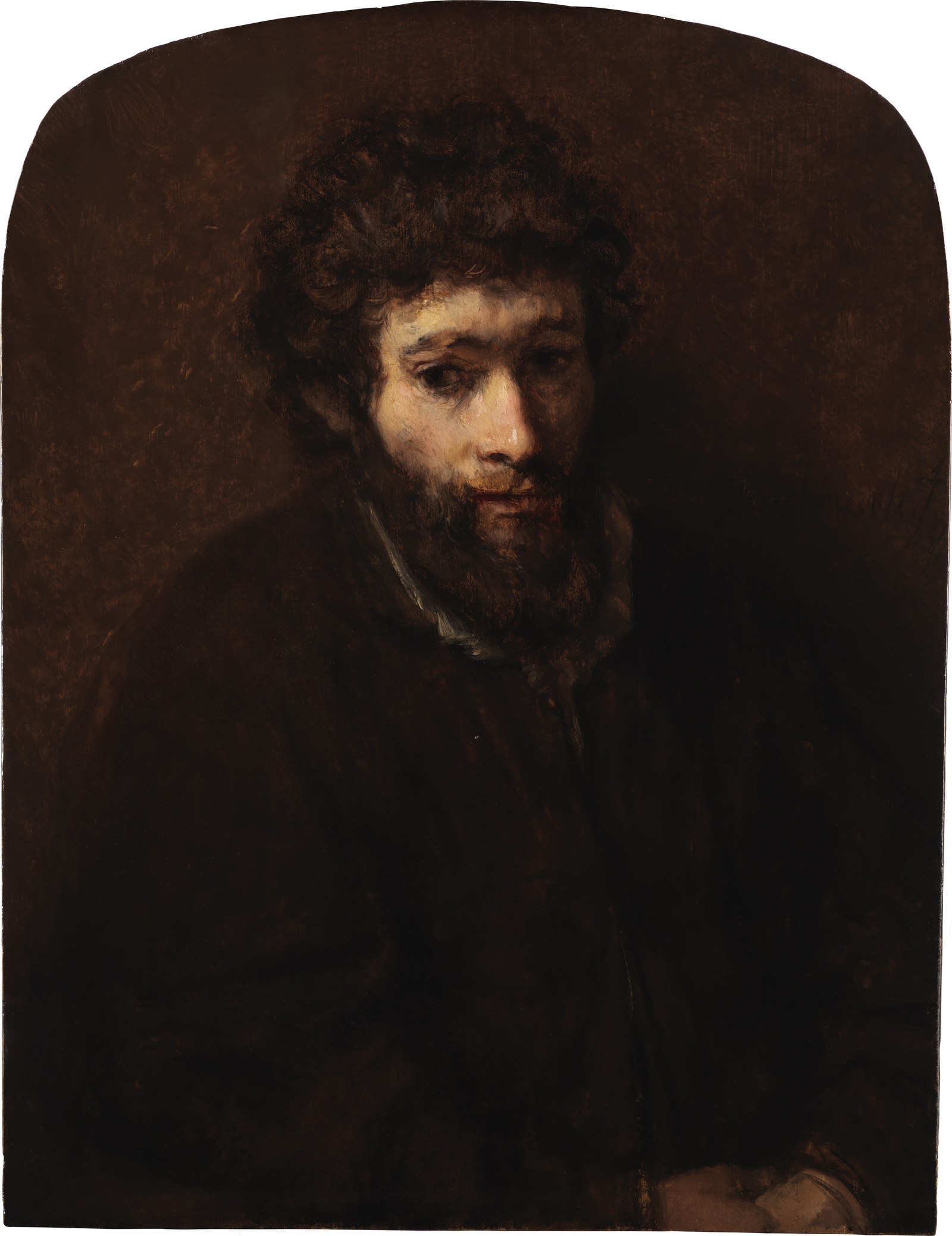 Bust of a Young Bearded Man