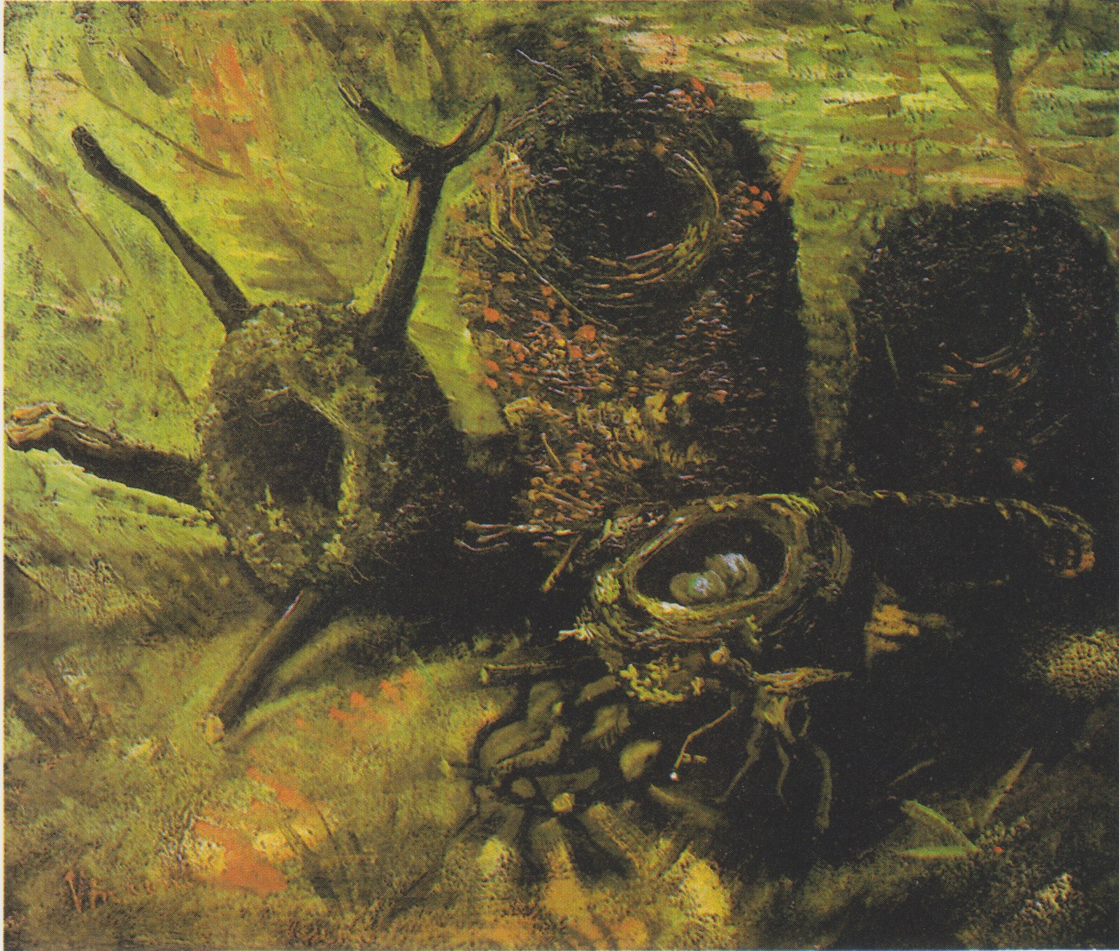 Birds' Nests