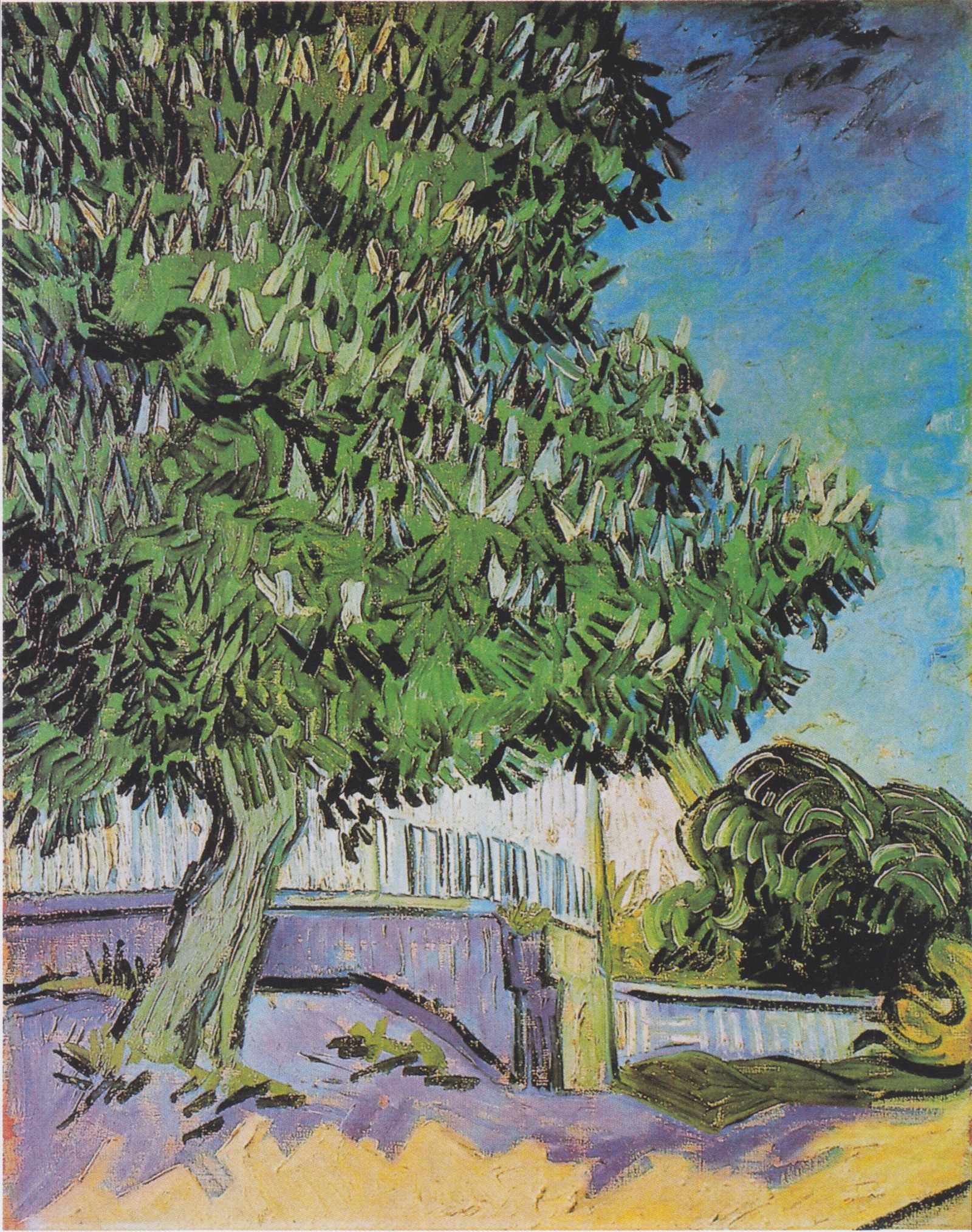 Blossoming chestnut trees