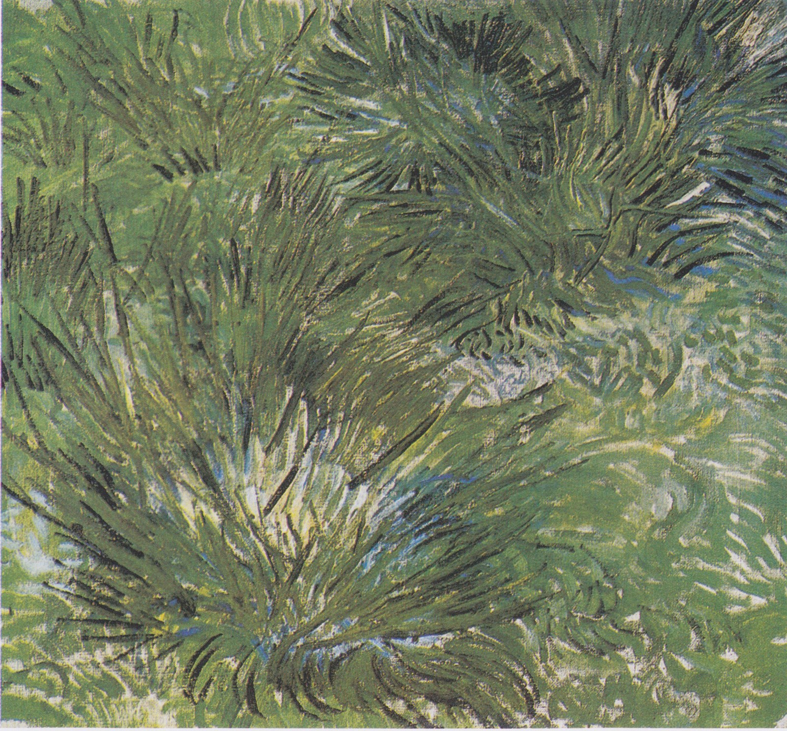 Clumps of Grass