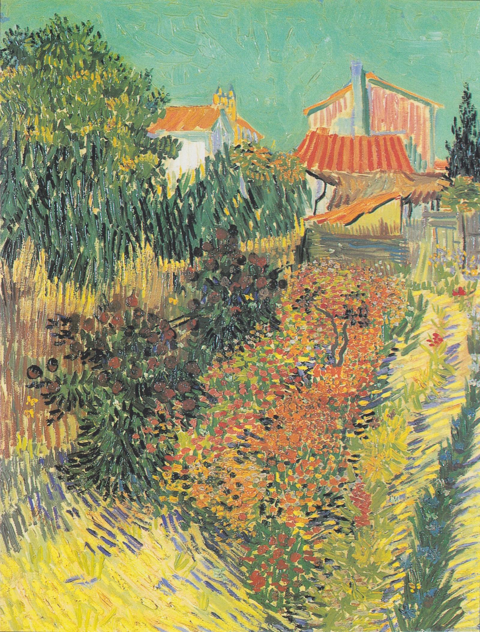 Garden Behind a House