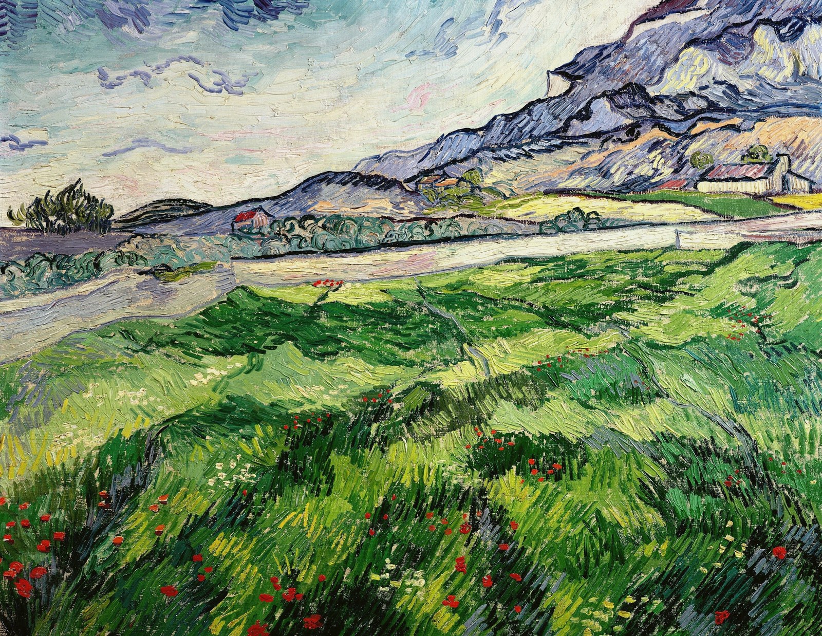 Green Wheat Field