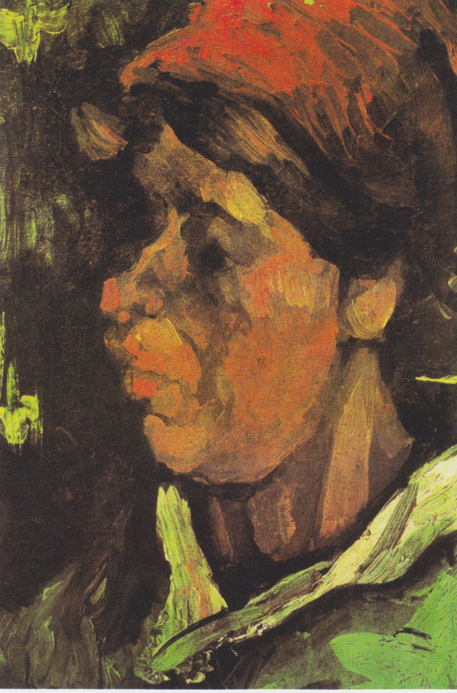 Head of a Peasant Woman with Dark Cap