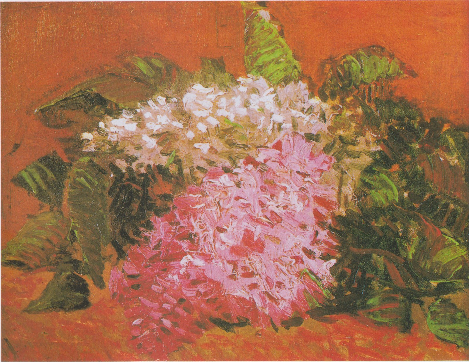 Lilacs