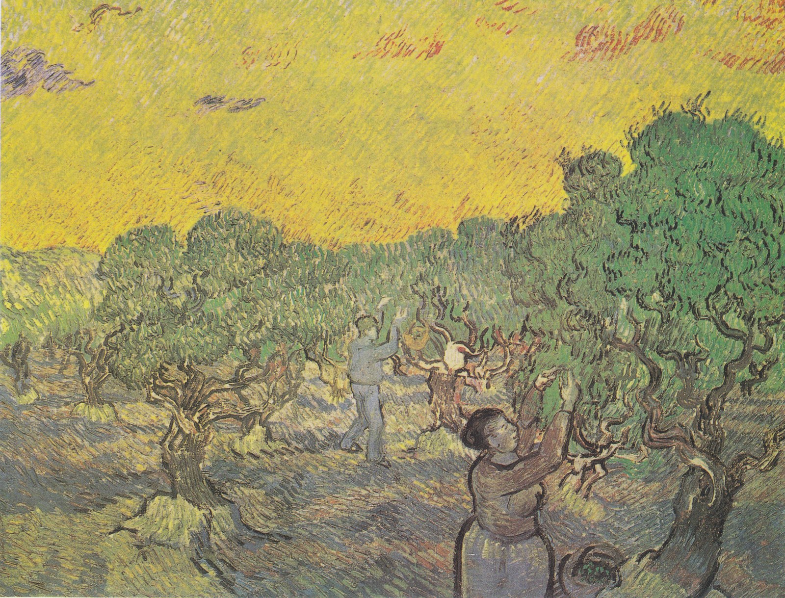 Olive Grove with Picking Figures