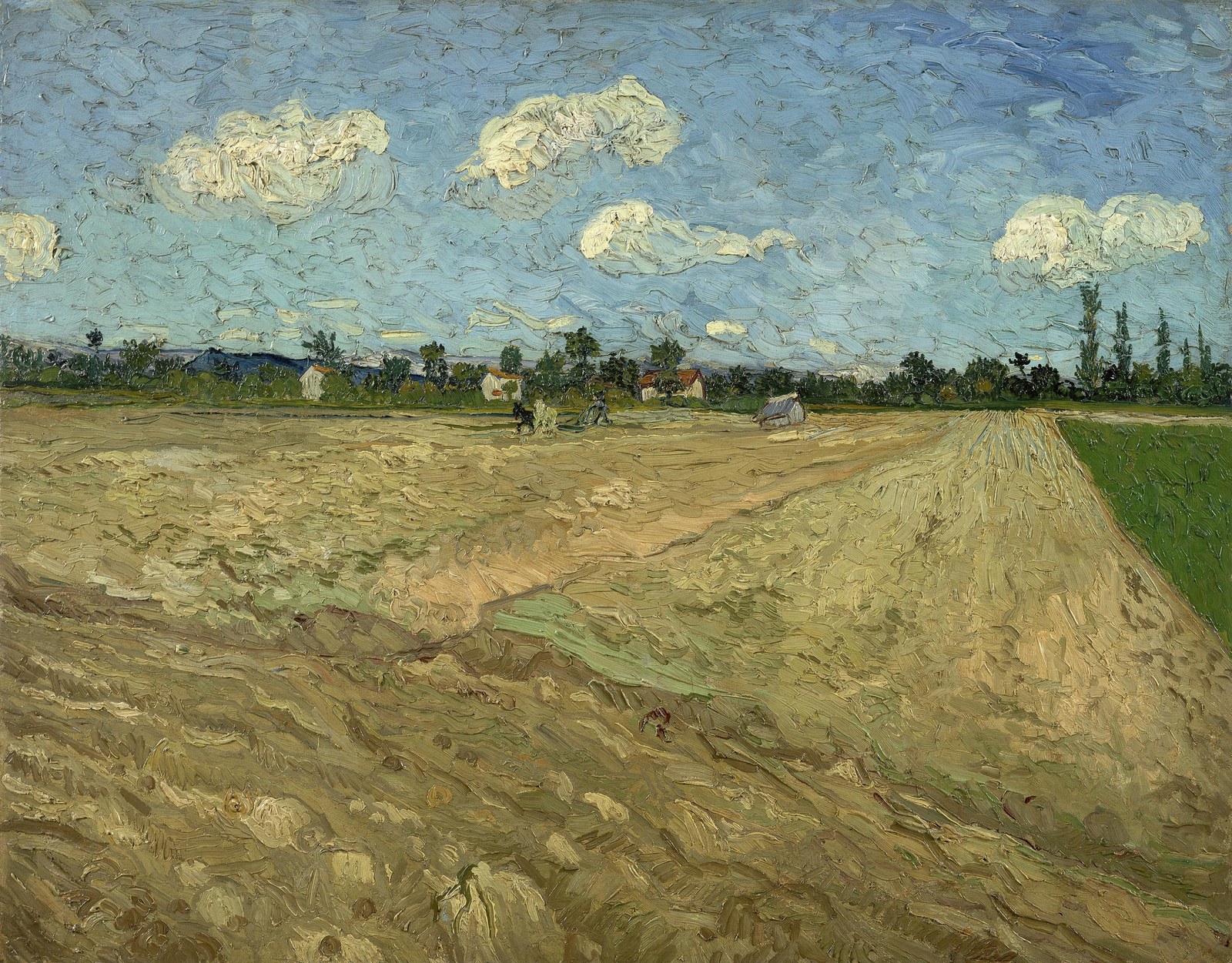 Ploughed fields