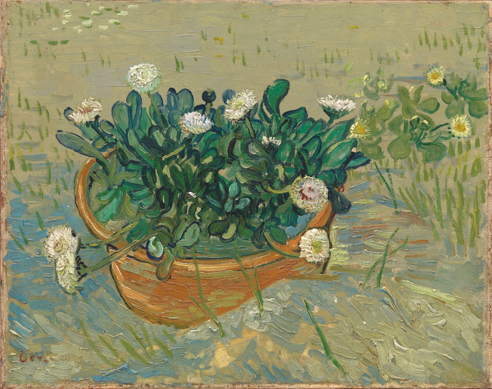Still Life: Bowl with Daisies