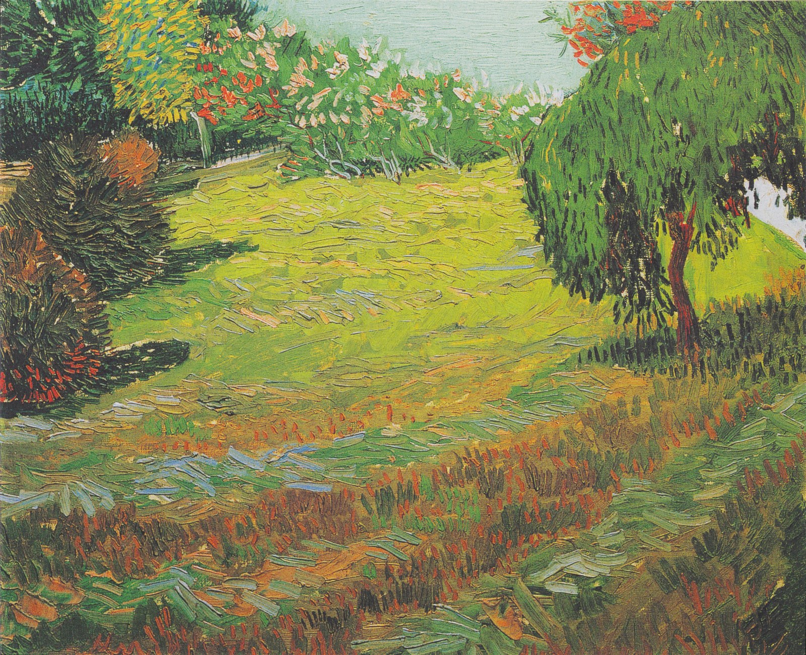 Sunny Lawn in a Public Park