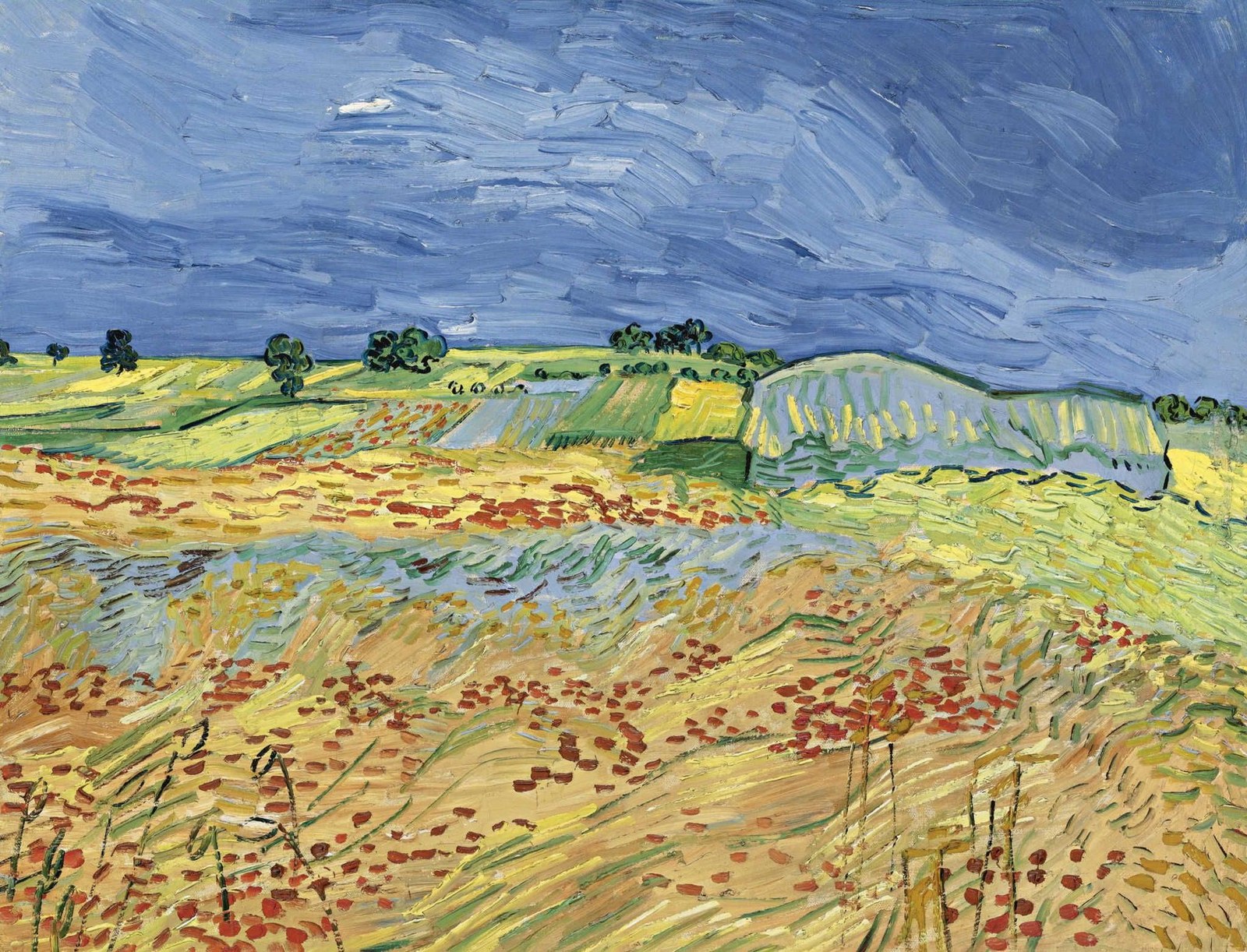 The Fields