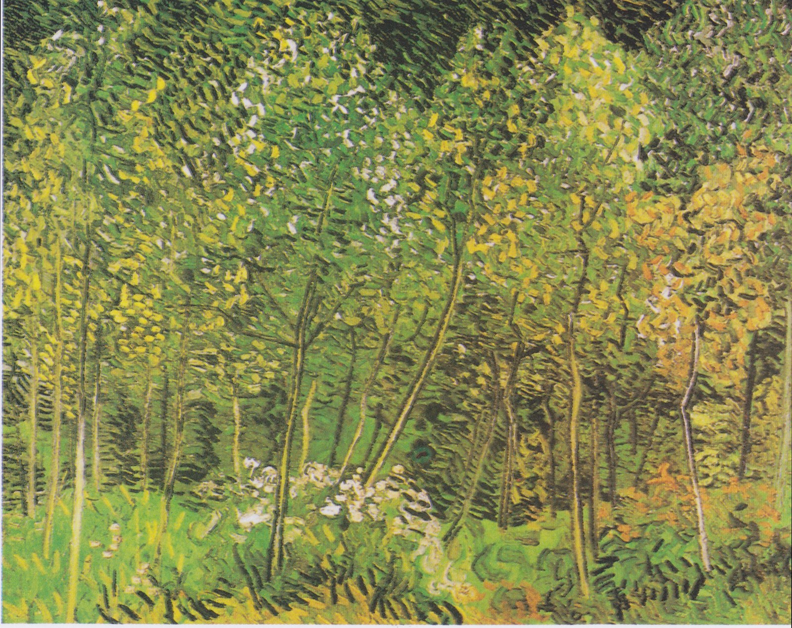 The Grove