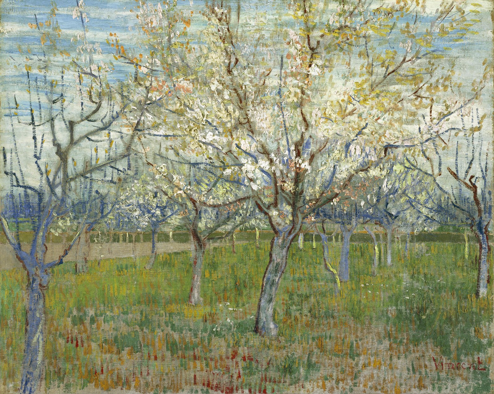 The pink orchard