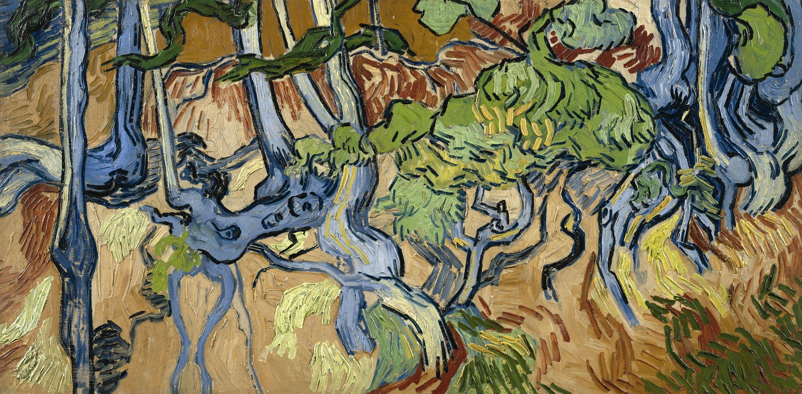 Tree Roots