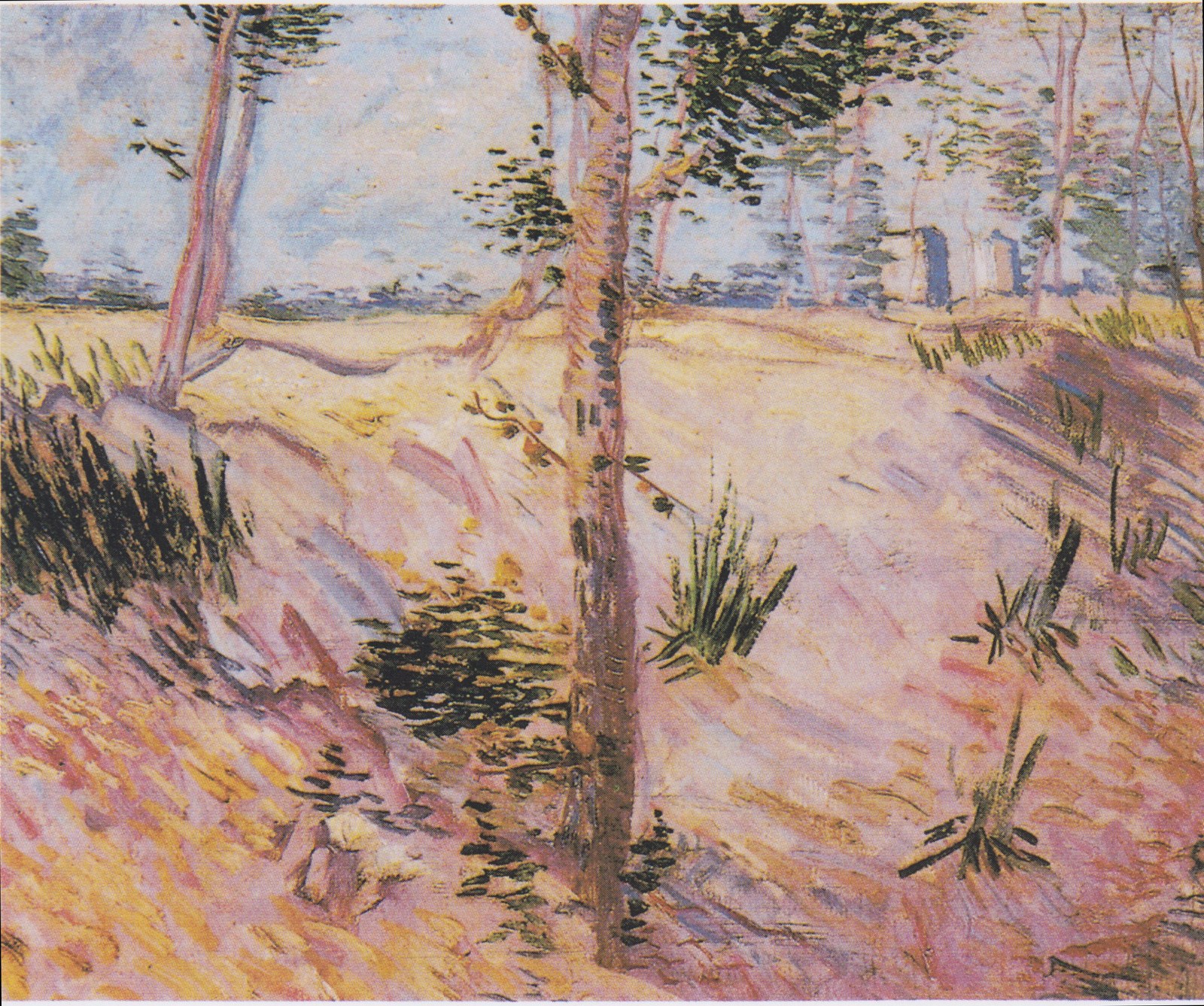 Trees on a slope