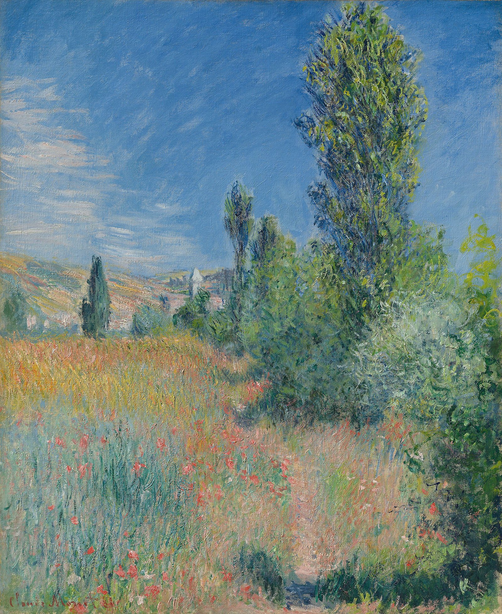 Landscape in Ile Saint-Martin