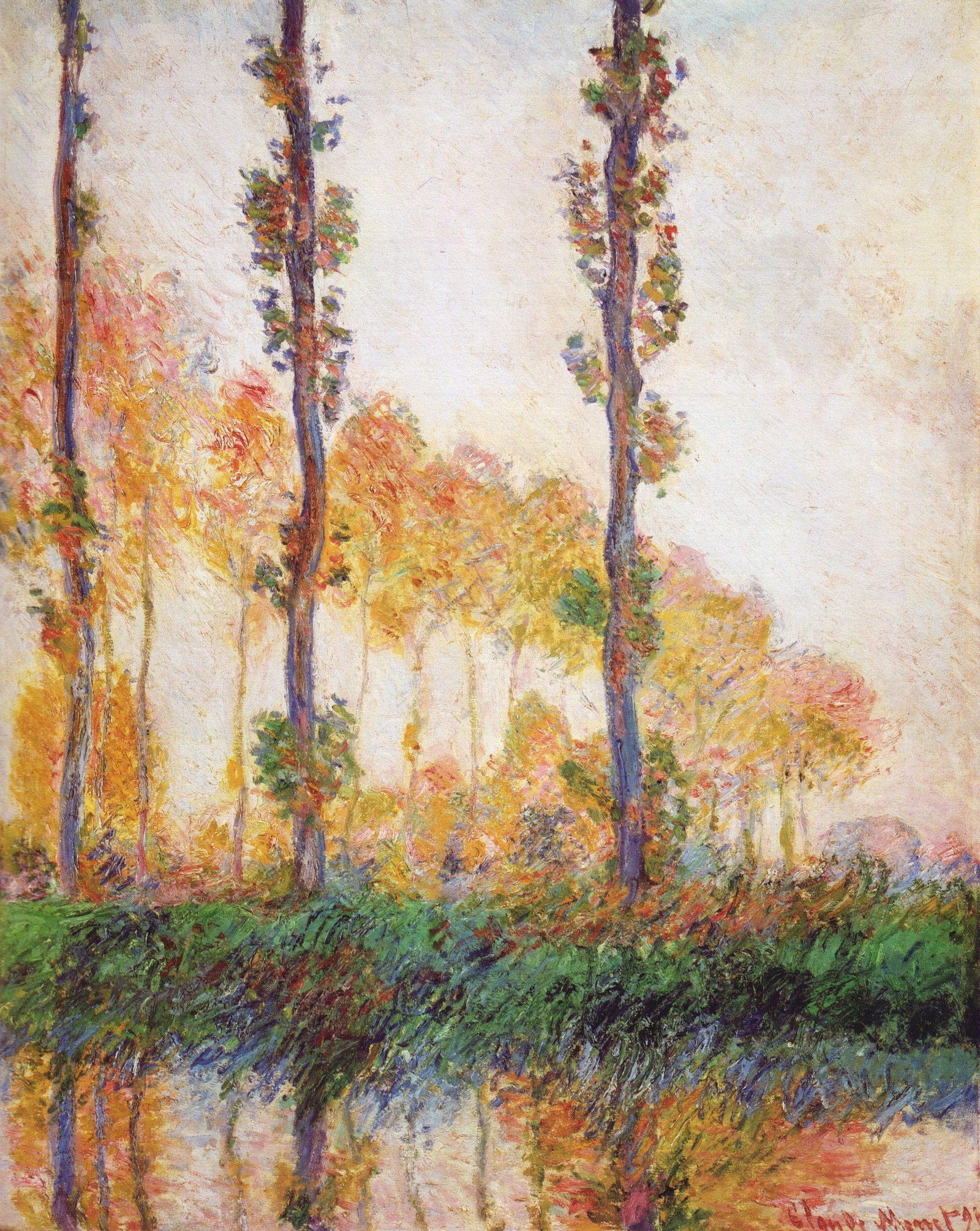Poplars (Autumn)