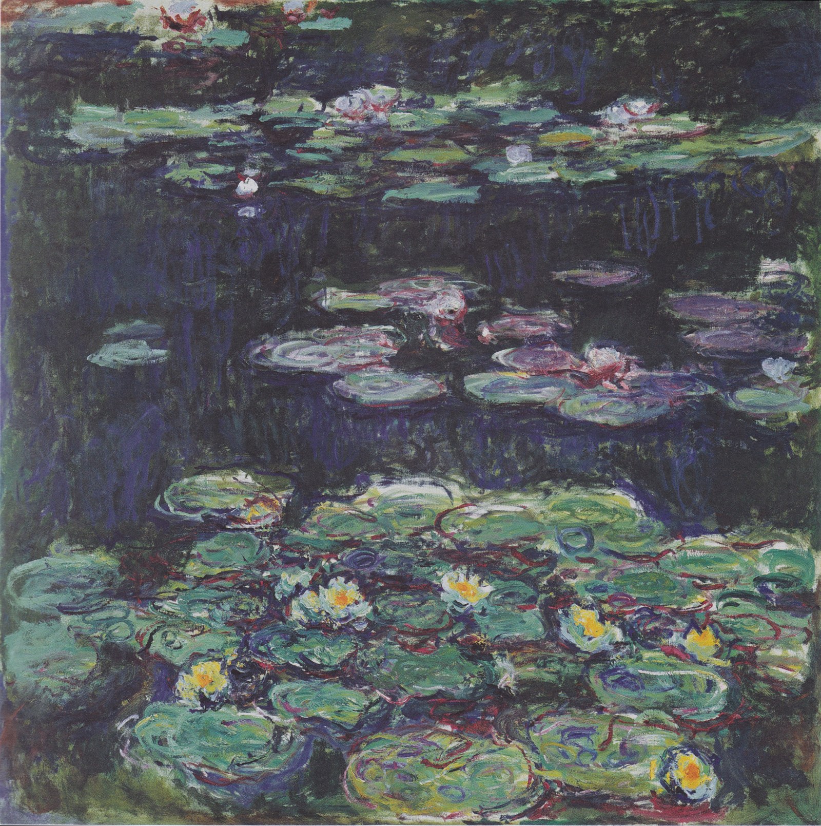 Q116025708