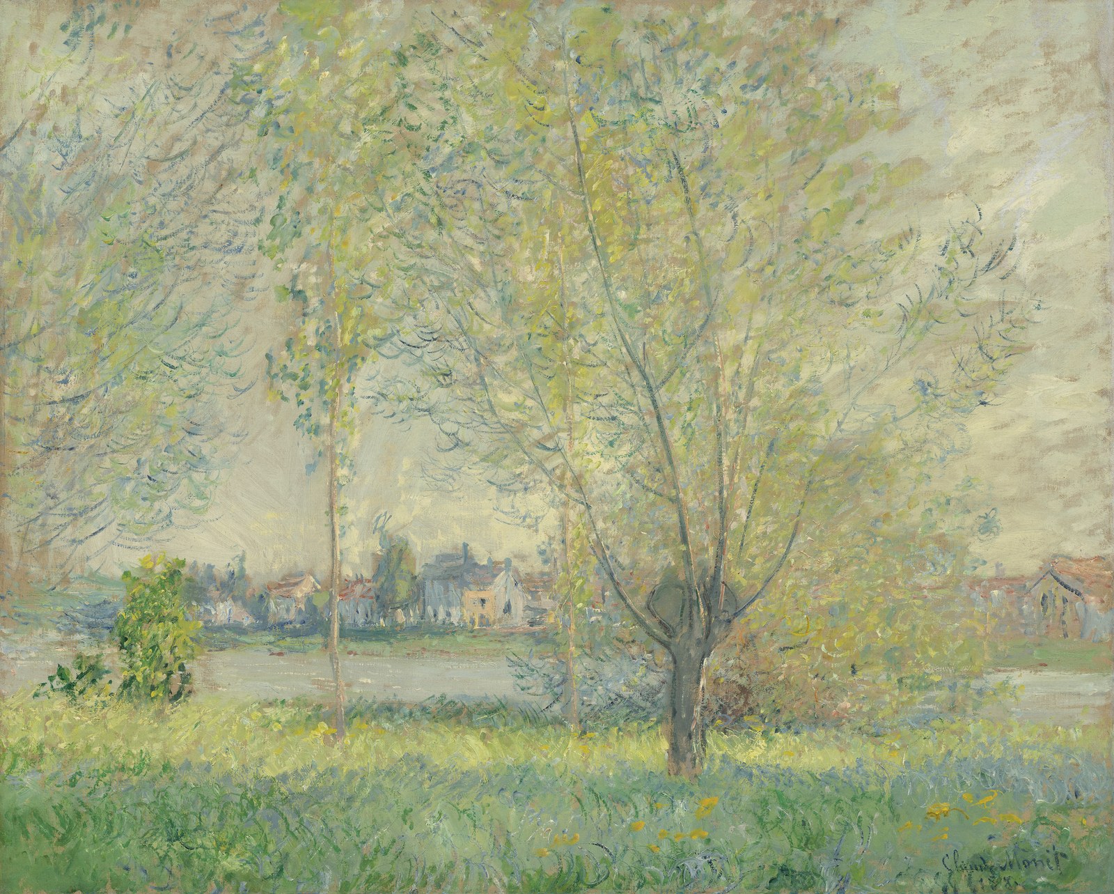 The Willows
