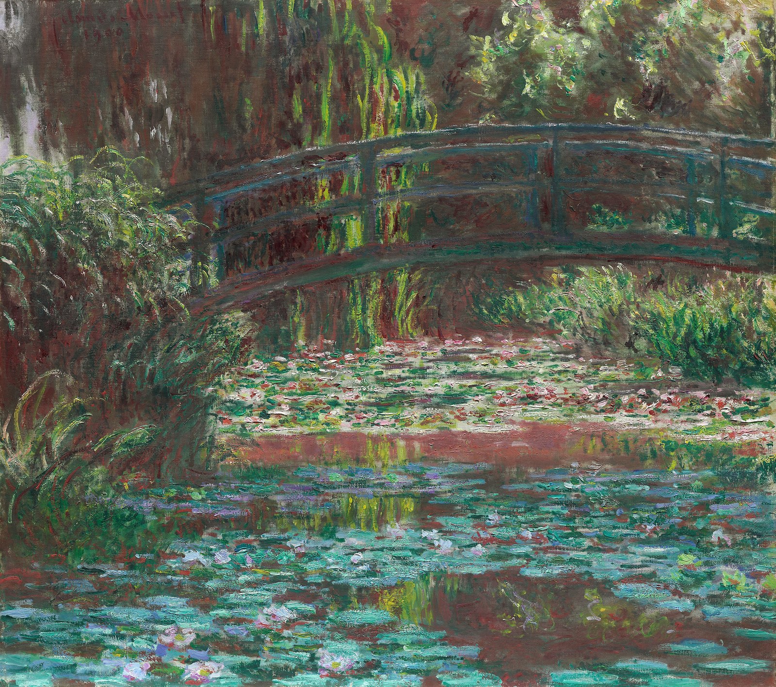 Water Lily Pond
