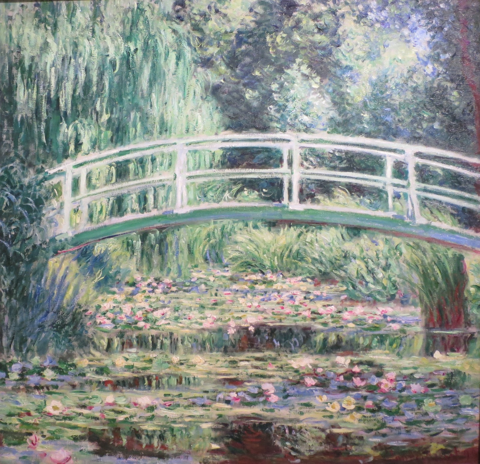White Water Lilies