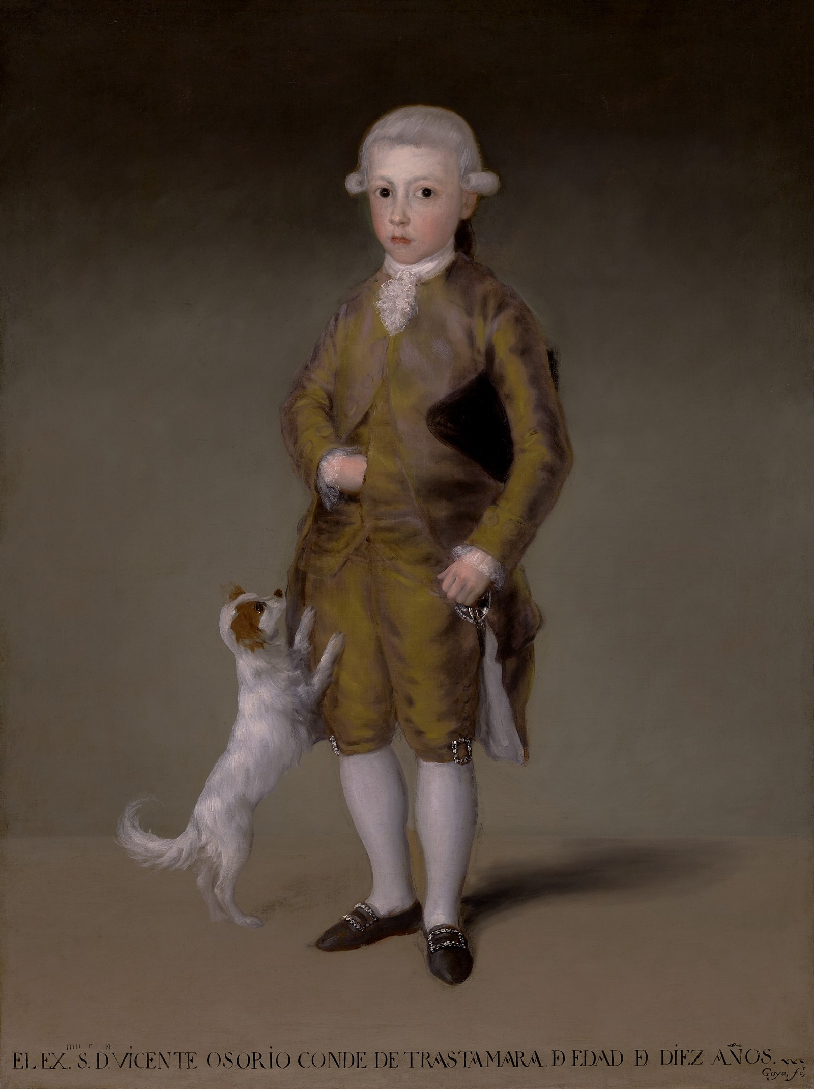 Francisco de Goya - Don Vicente Isabel Osorio de Moscoso y Álvarez de Toledo, Conde de Trastámara - 2016.78 - Museum of Fine Arts, Houston