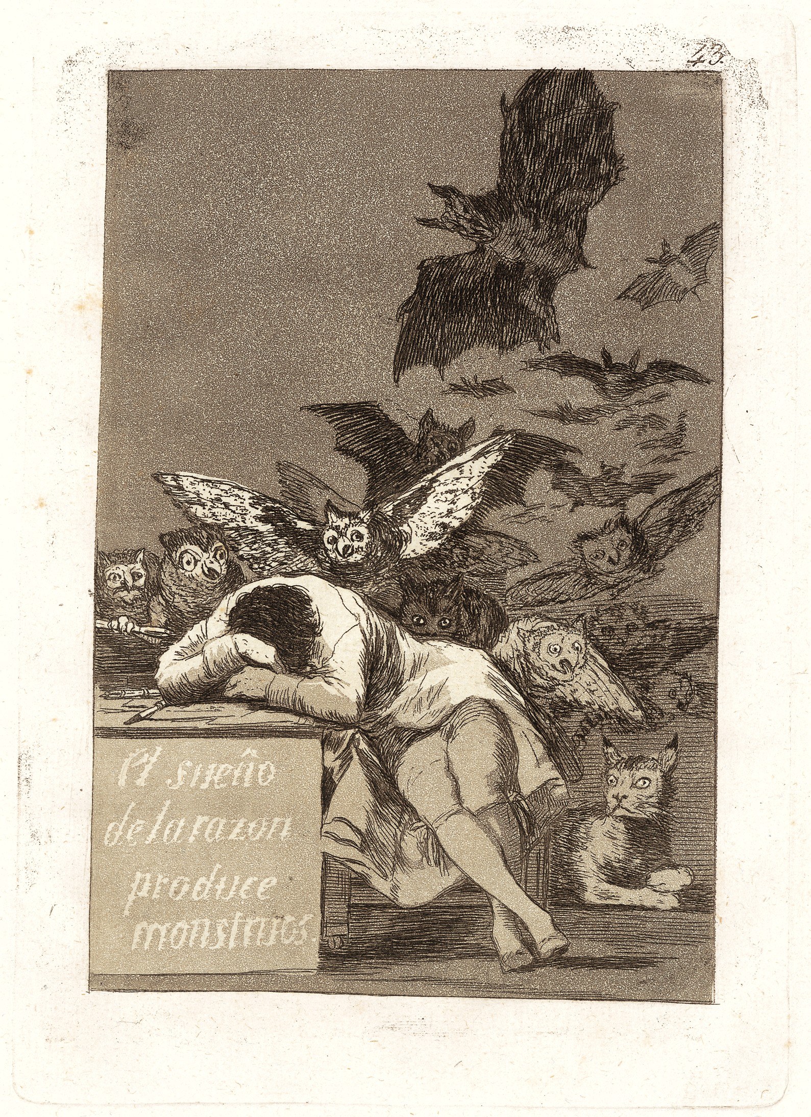 Plate 43 from 'Los Caprichos'- The sleep of reason produces monsters (El sueño de la razon produce monstruos) MET 22NN BG05R5