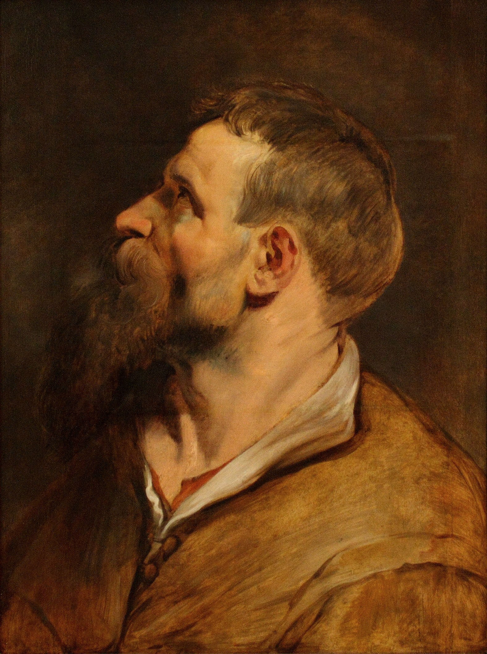 Head of a bearded man looking left