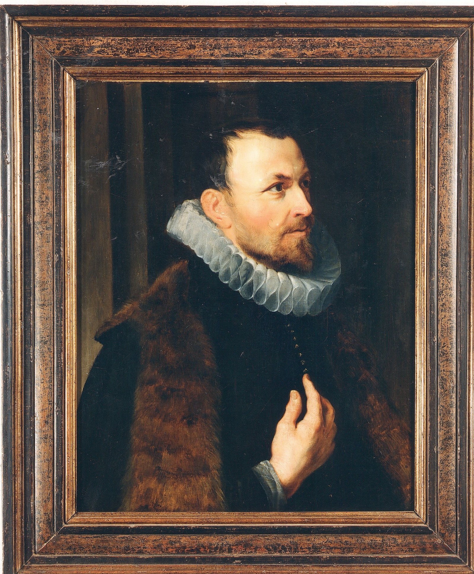 Portrait of Nicolaas Rockox