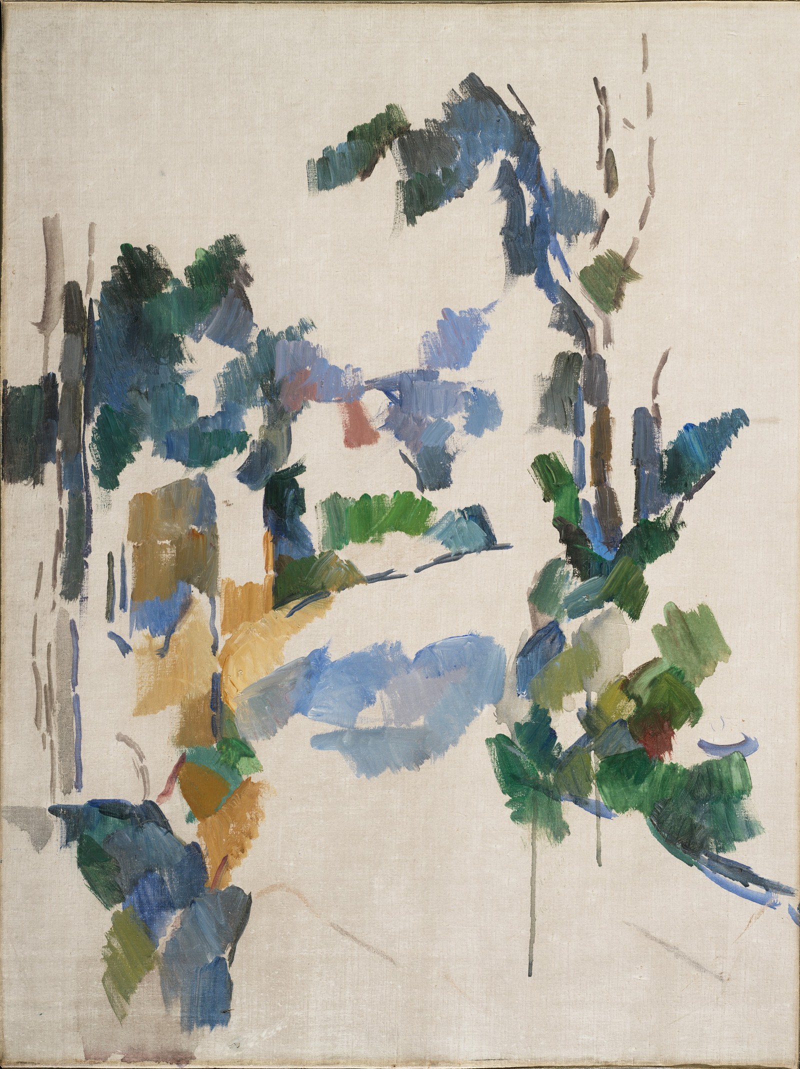 Study of Trees