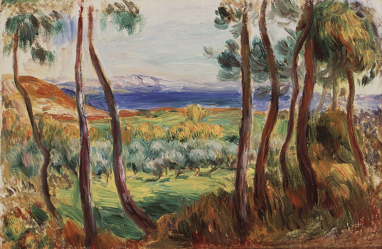 Pines near Cagnes