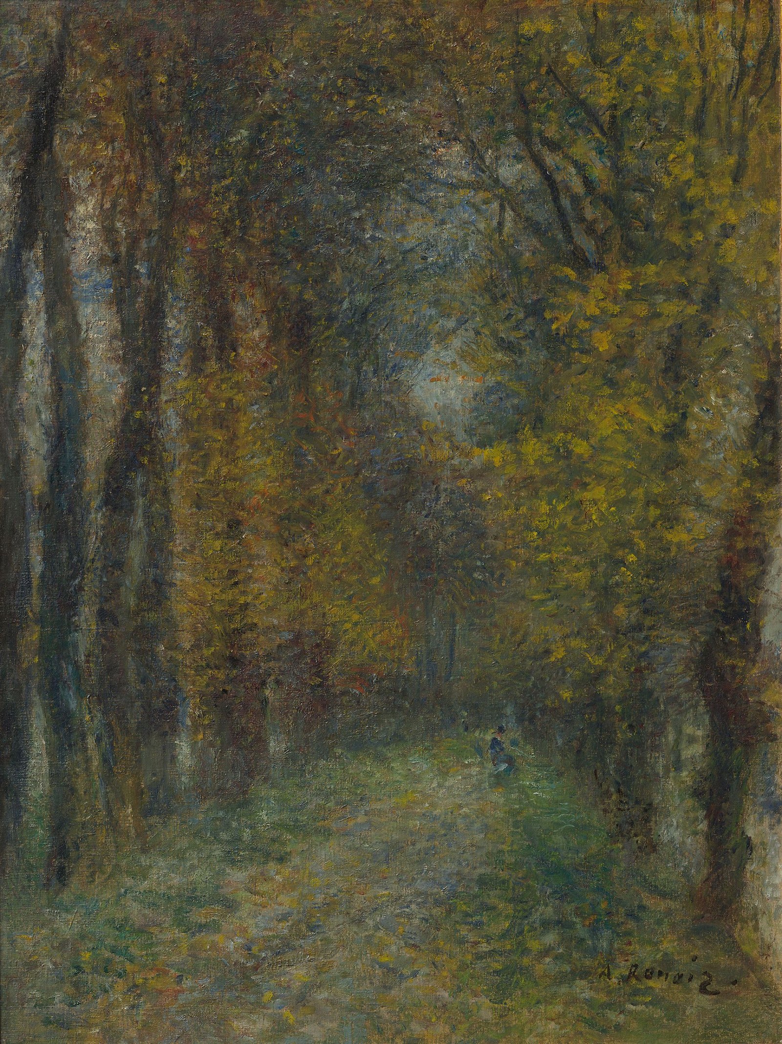 Shaded Path