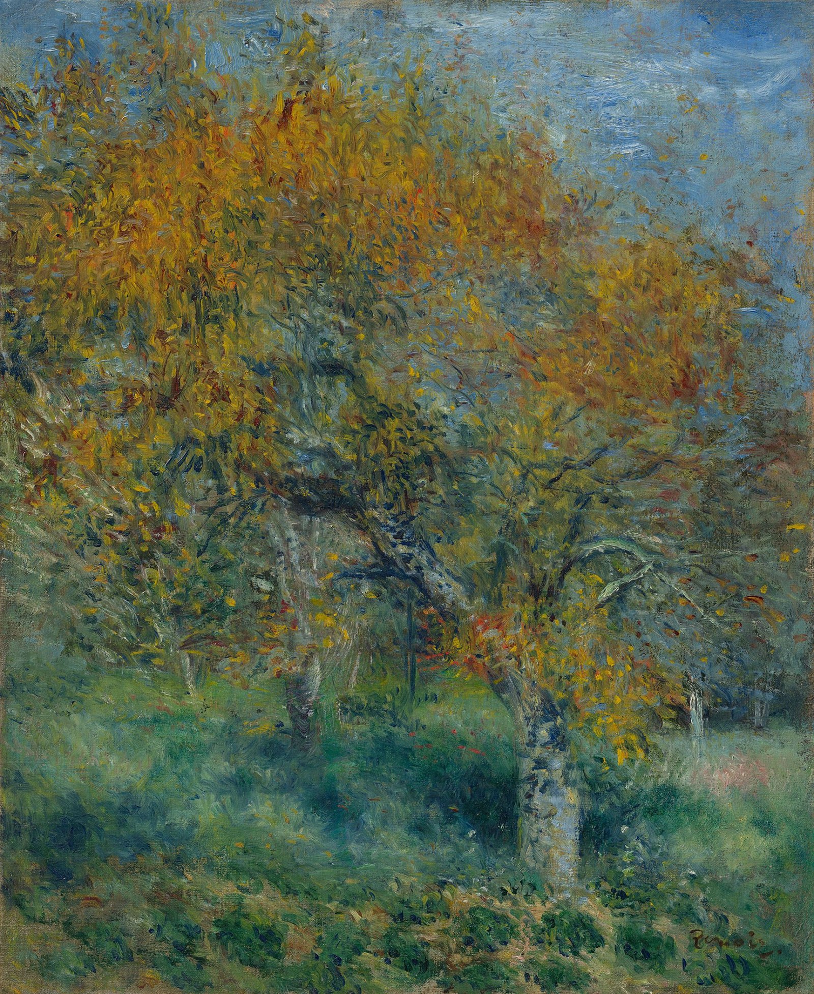 The Pear Tree
