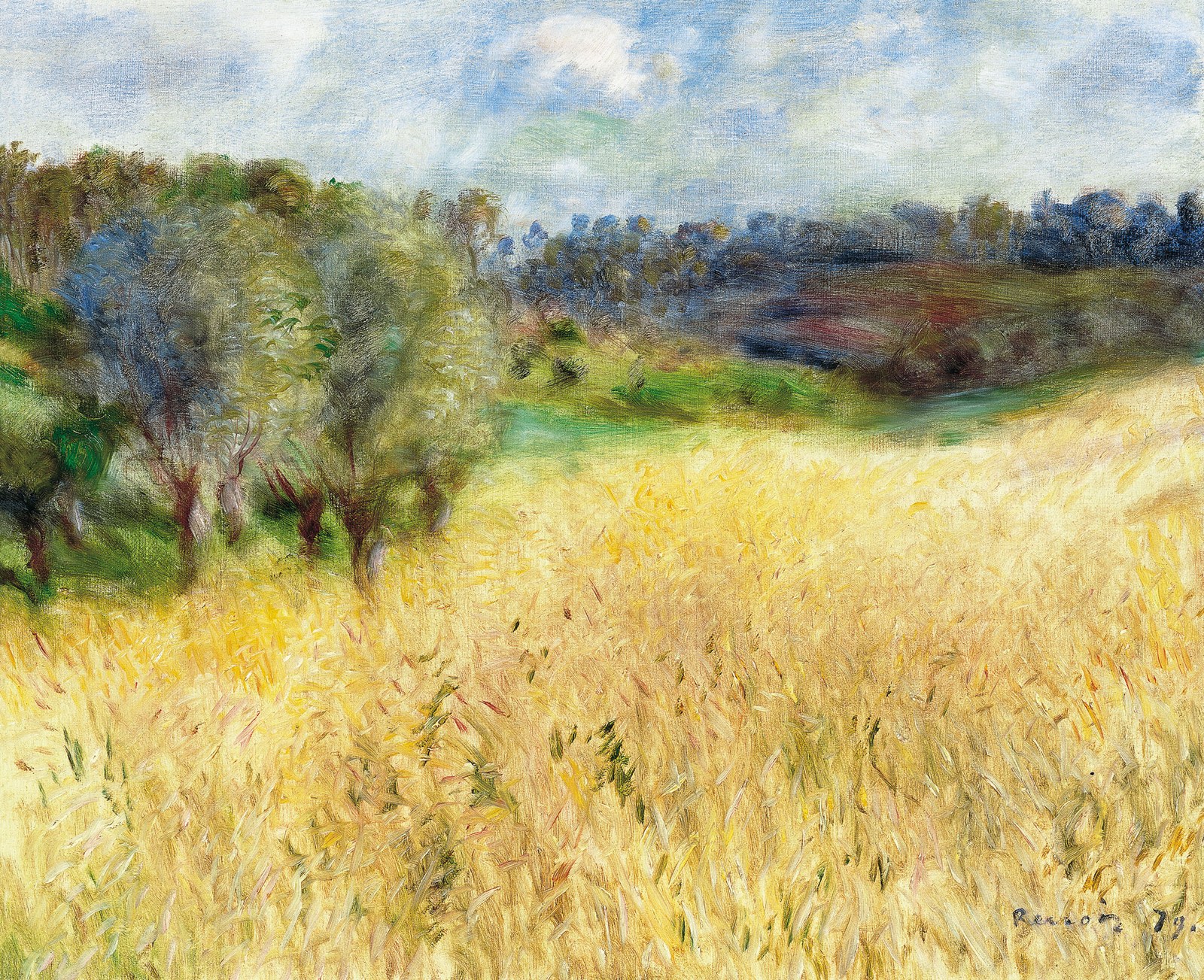 Wheatfield
