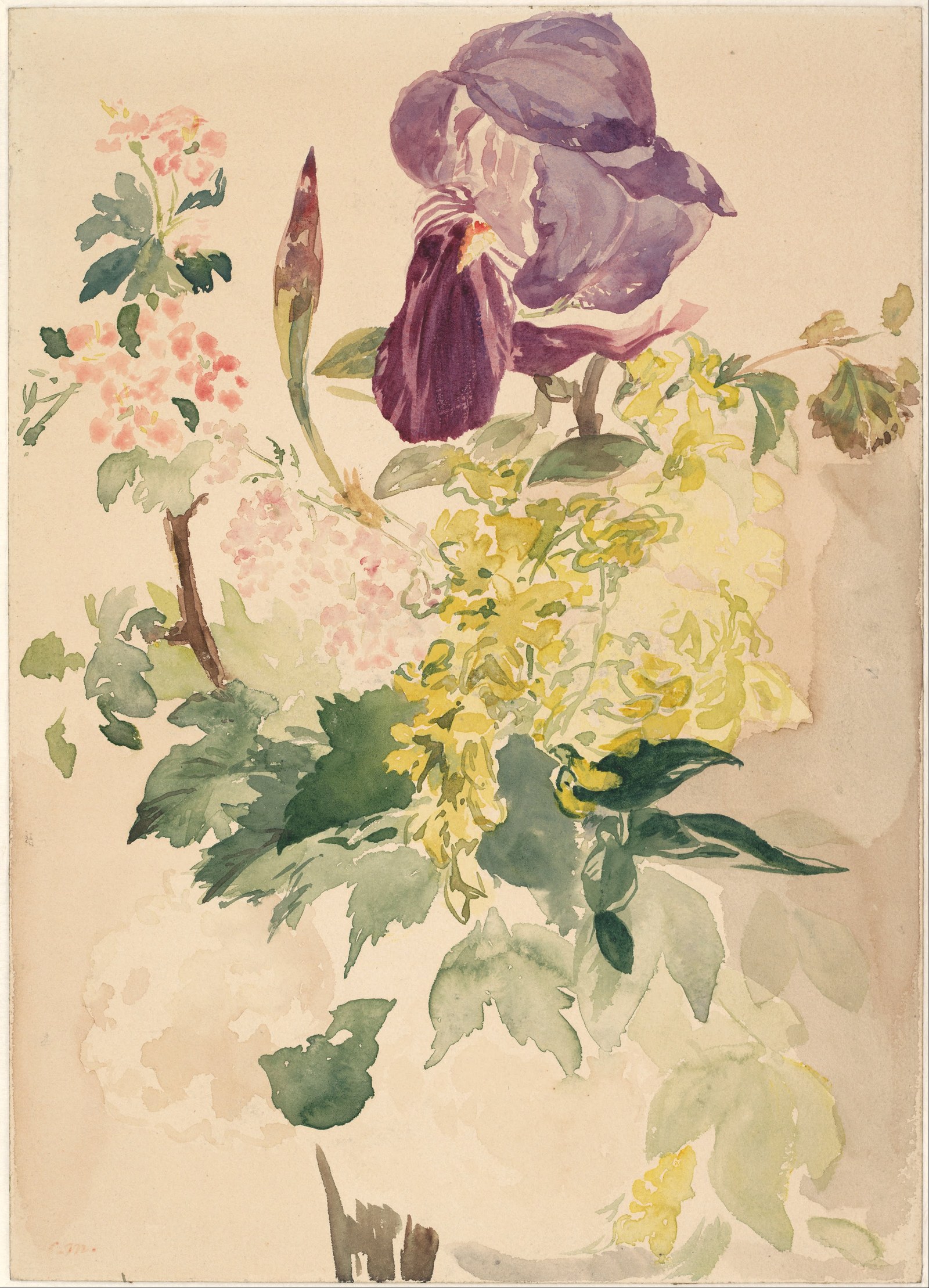 Flower Piece with Iris, Laburnum, and Geranium
