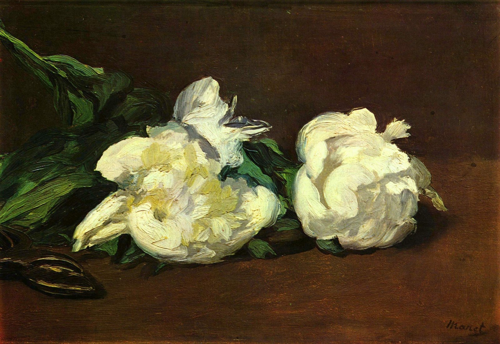 Still Life