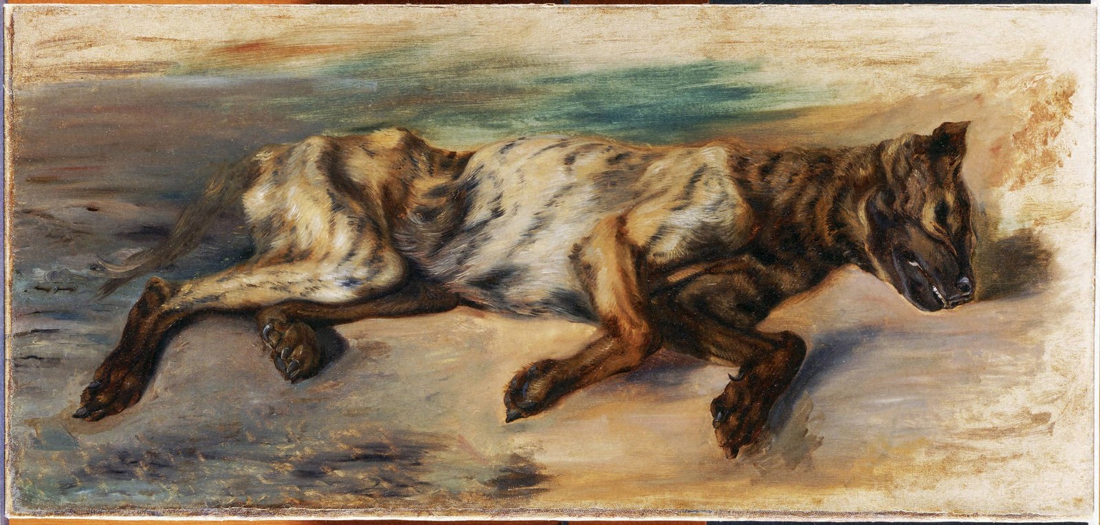Dead Dog