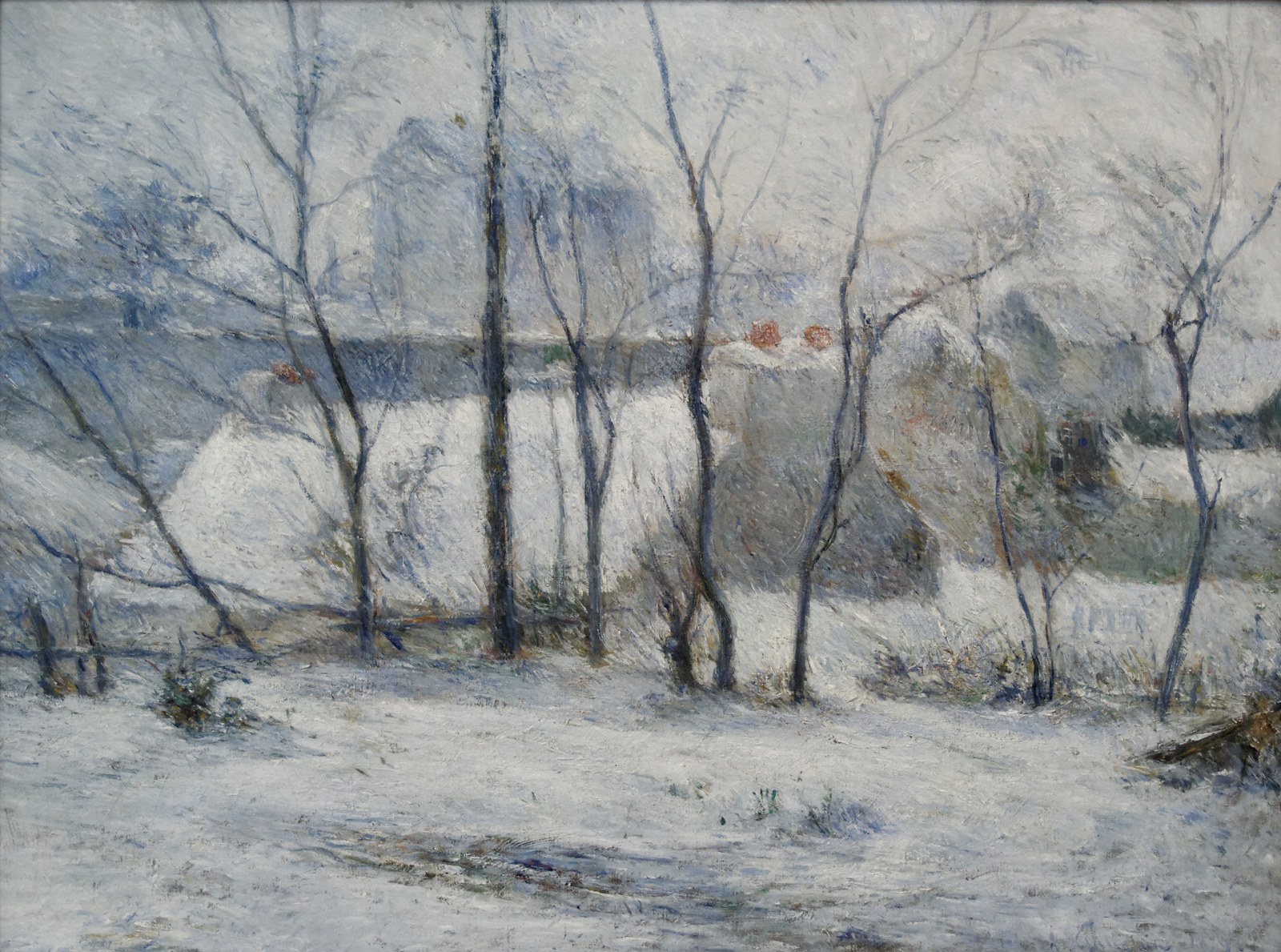 Garden under Snow